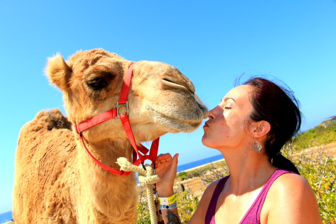 A Cabo resort for active families: Kiss a camel, swim with angels, or just relax.