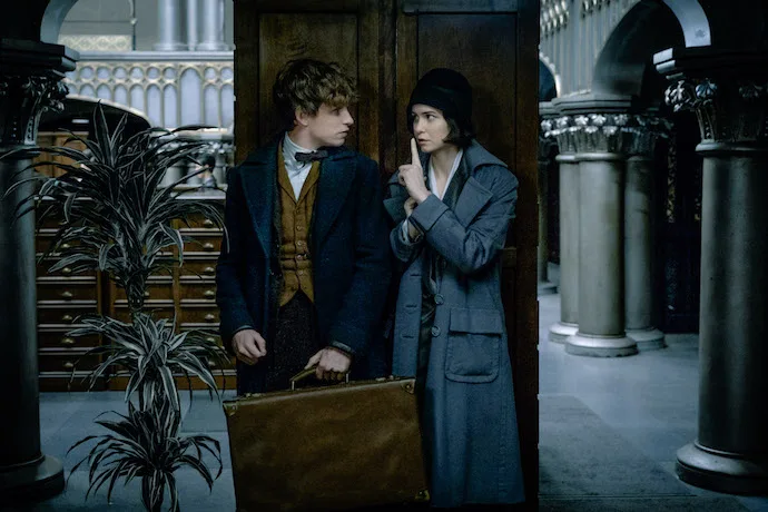 The magic is back in Fantastic Beasts and Where to Find Them.
