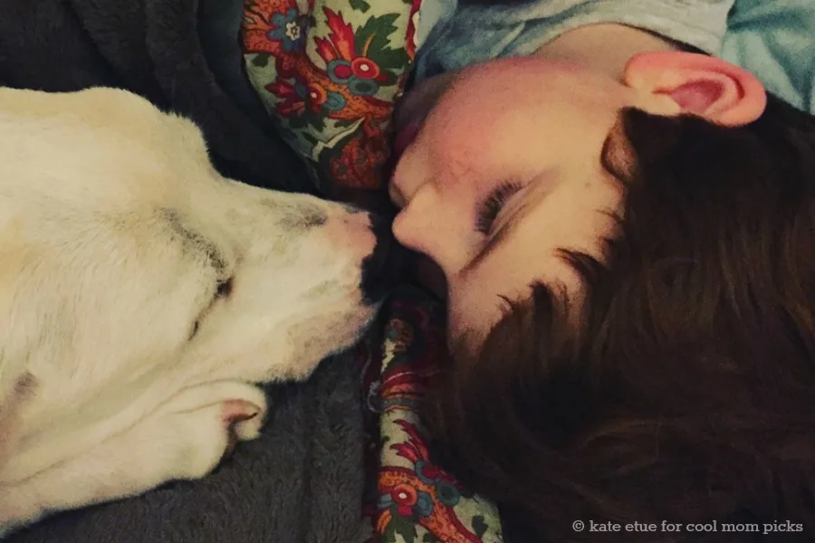 A celebration of our staff's family dogs