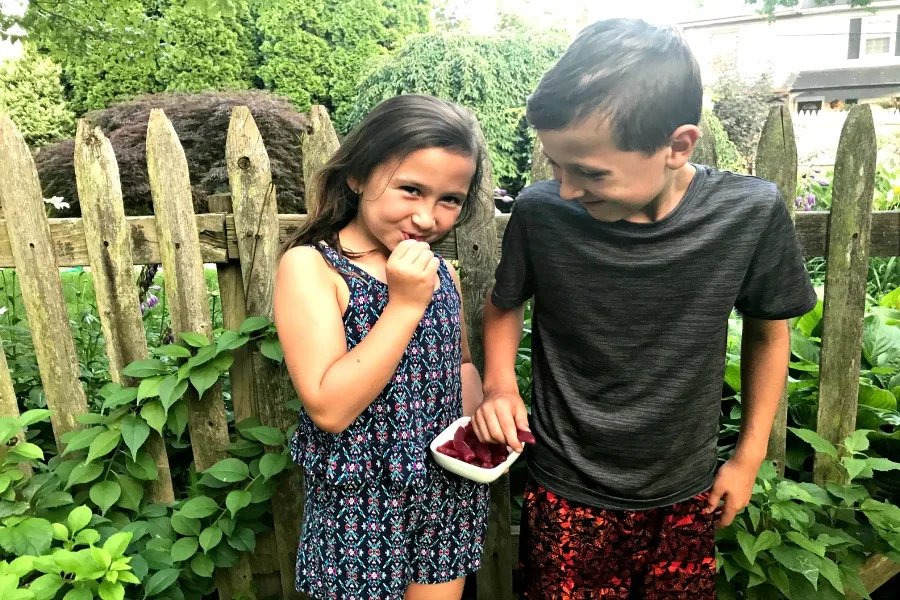 Eliminating food dyes from your kids snacks? Start with these 3.