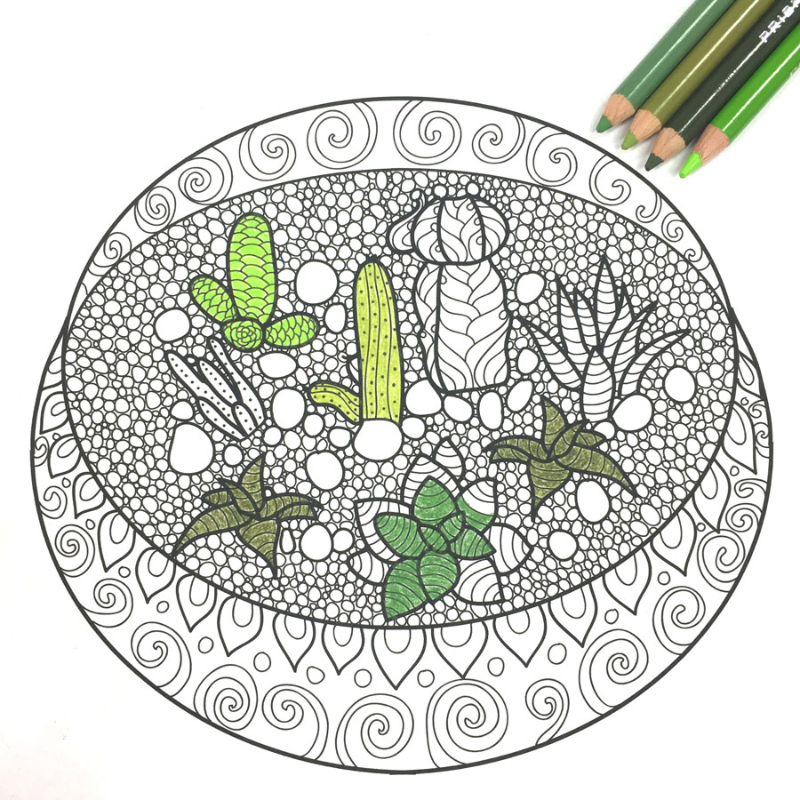 Summer coloring pages for teens: Terrarium Coloring Page | Popshop Americ