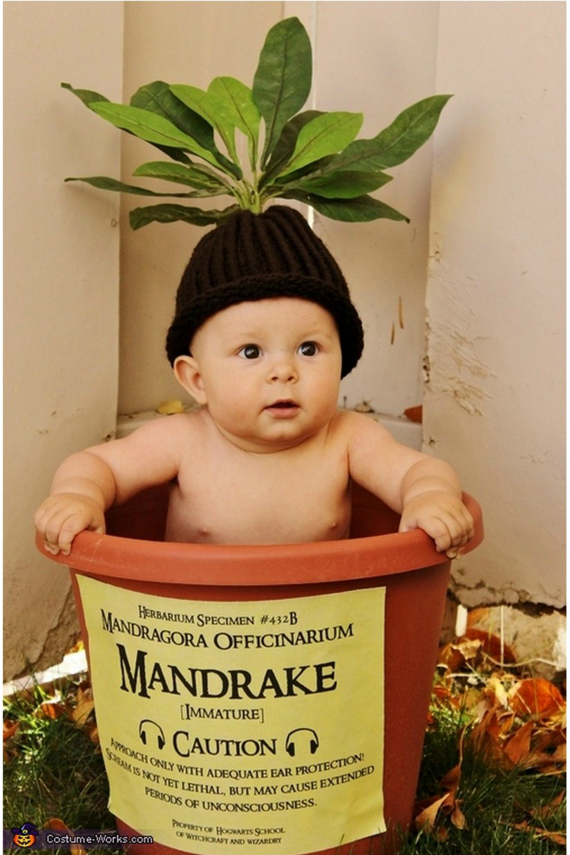 No-sew Halloween costumes: Harry Potter Baby Mandrake Halloween Costume | True Blue Halloween