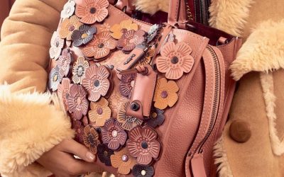 Crimson to Clover: 11 incredible Coach fall handbags in colors that we’re here for.