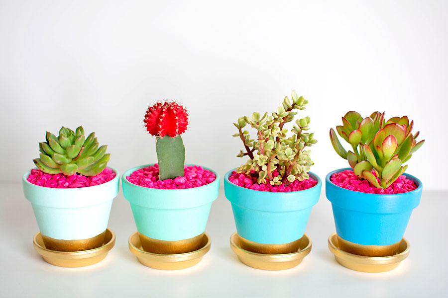 DIY gold-dipped succulent plant gift via Homey Oh My