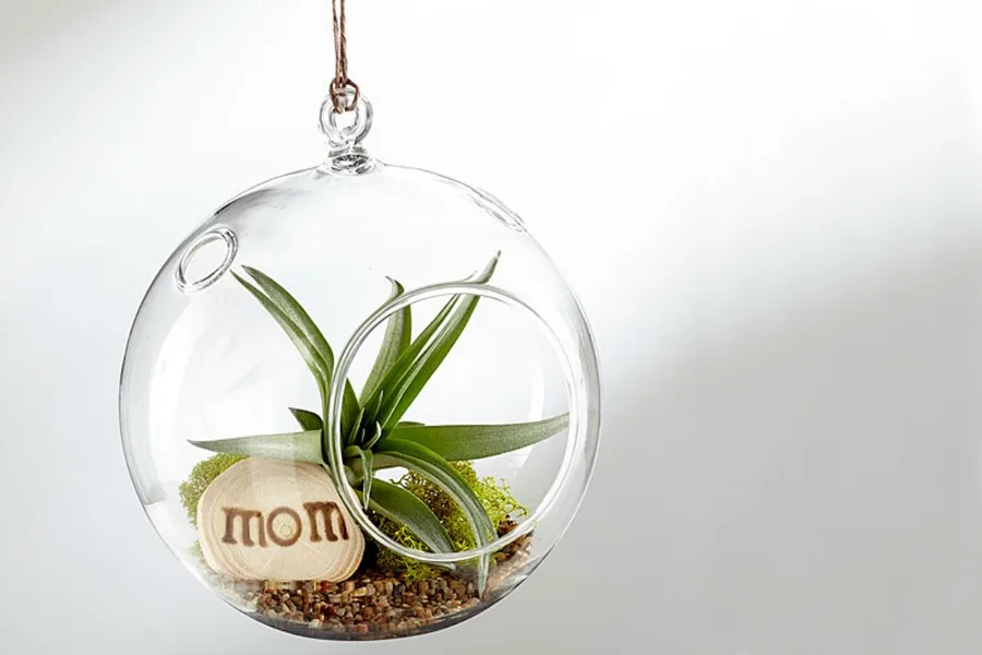 Clever flower alternatives for Mother's Day that last a long longer | CoolMomPicks.com