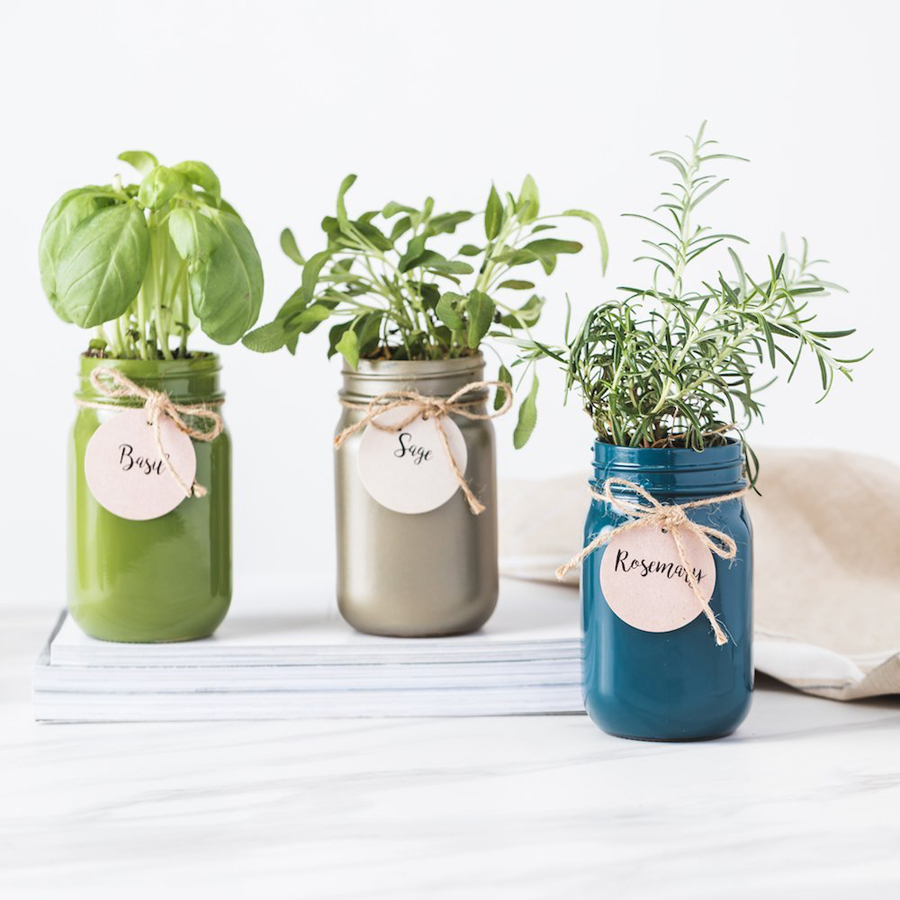 Flower alternatives for Mother's Day: A cool mason jar herb garden DIY kit