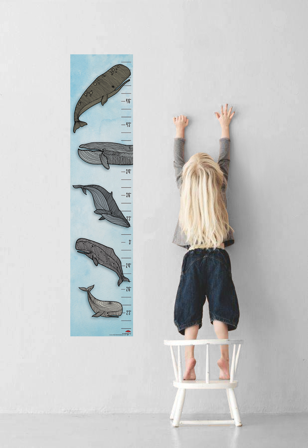 Modern growth charts: Whale pod growth chart | Red Umbrella 