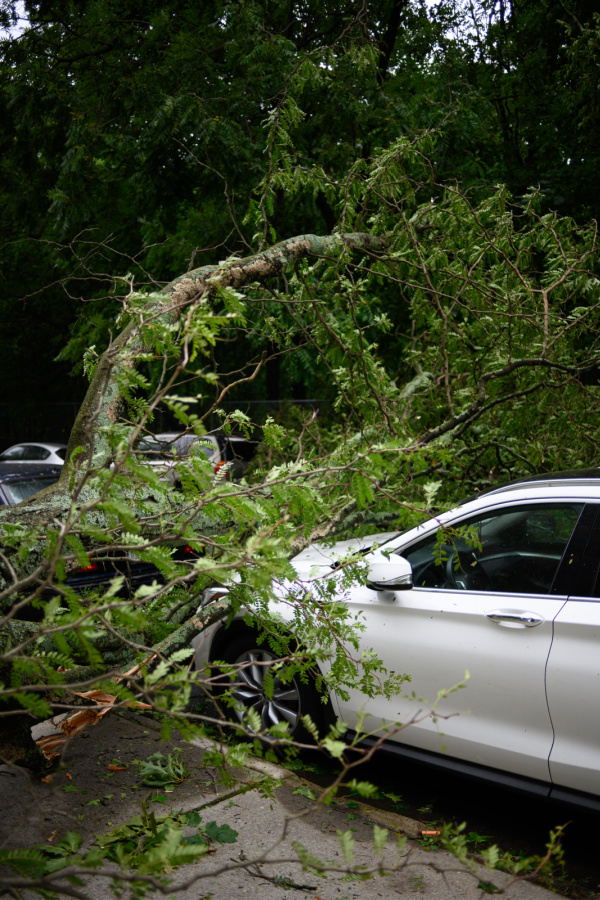 Hurricane and storm preparedness tips: What to do with your car