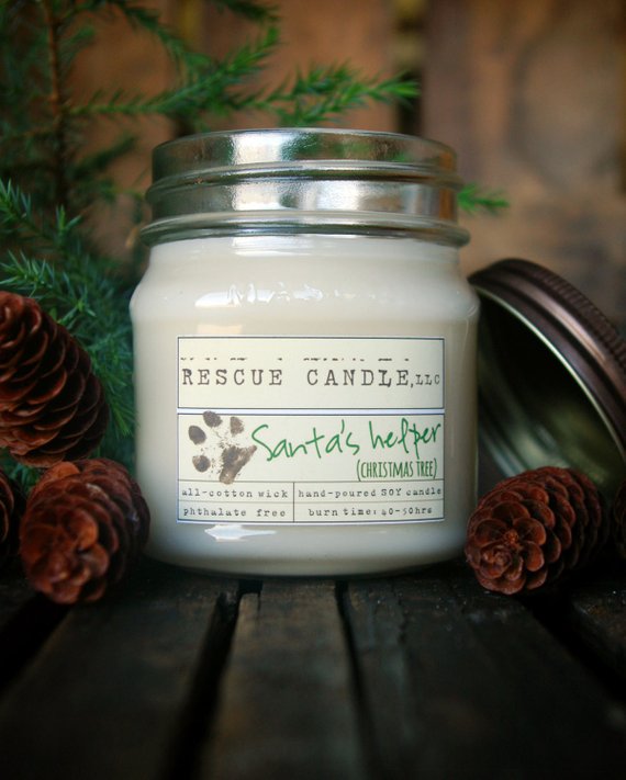 Cool affordable gifts under $15: Pine candle supporting animal rescue