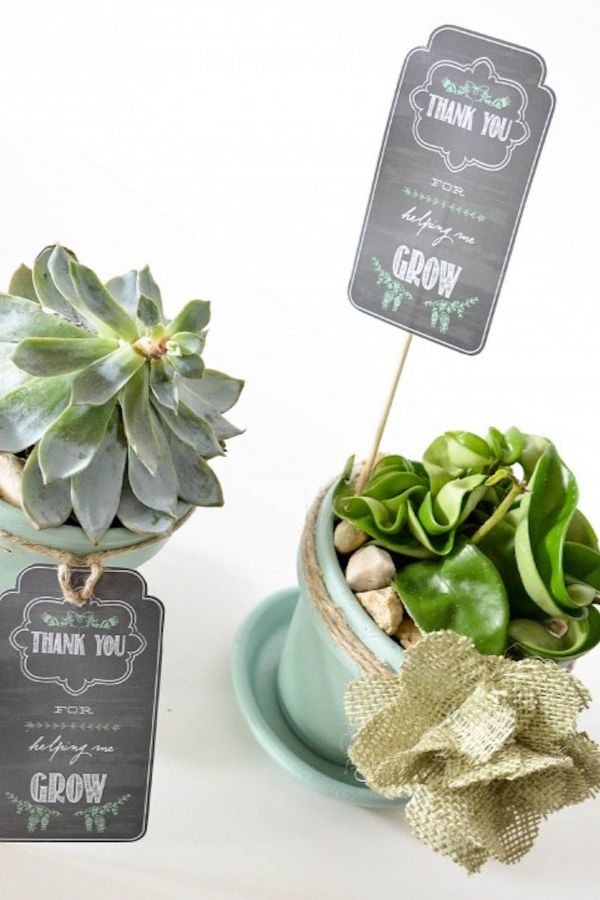 DIY holiday gifts: A plant with these free printable 