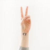 tattly rothman