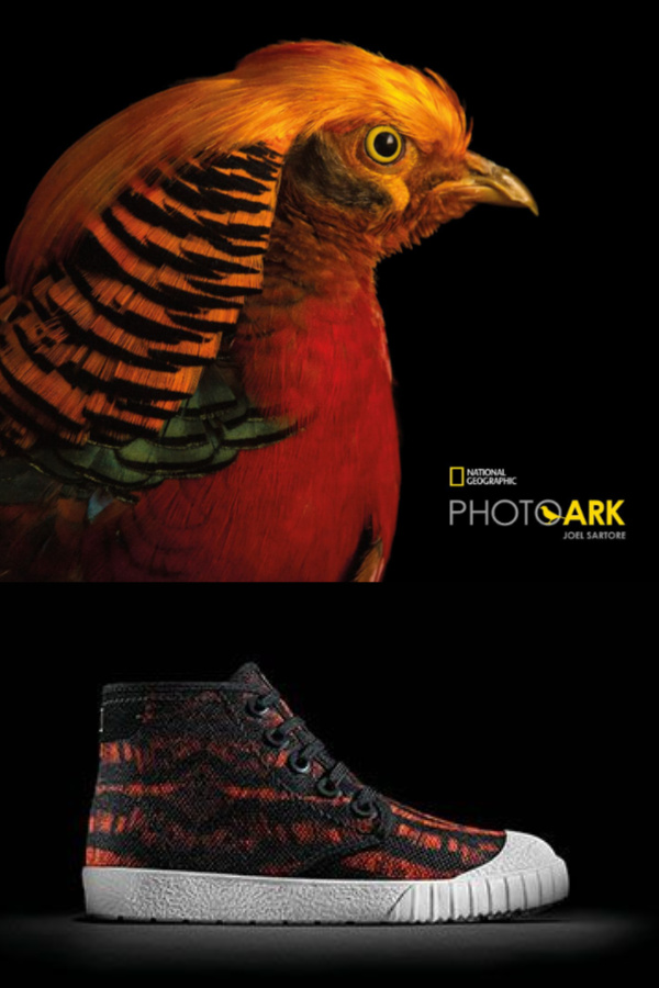 Clarks Kids x National Geographic eco-friendly sneakers for kids inspired by the Male Golden Pheasant | Cool Mom Picks