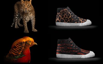 Earth Day Pick: The wonderful new Clarks Kids x National Geographic sneaker collection