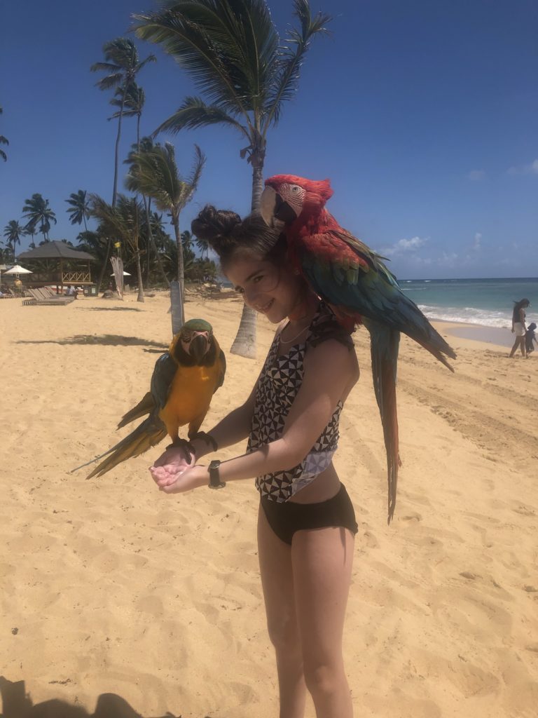 Nickelodeon resort tips: The parrot photos on the beach are definitely not free! 
