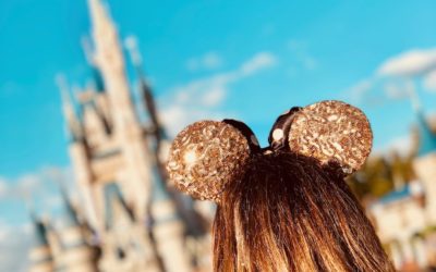 15 things to pack for your next trip to Disney World that make the difference between enjoyment and survival.
