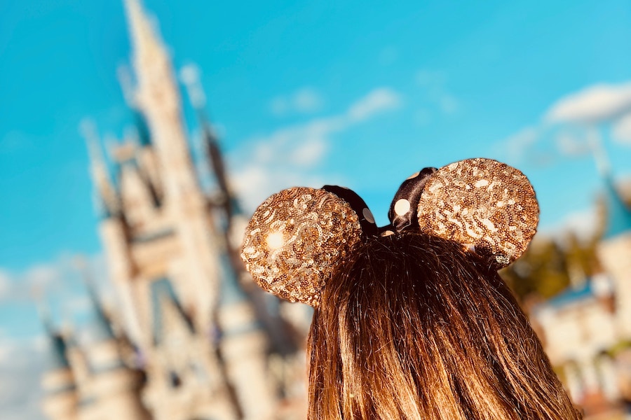 15 things to pack for your next trip to Disney World that make the difference between enjoyment and survival.