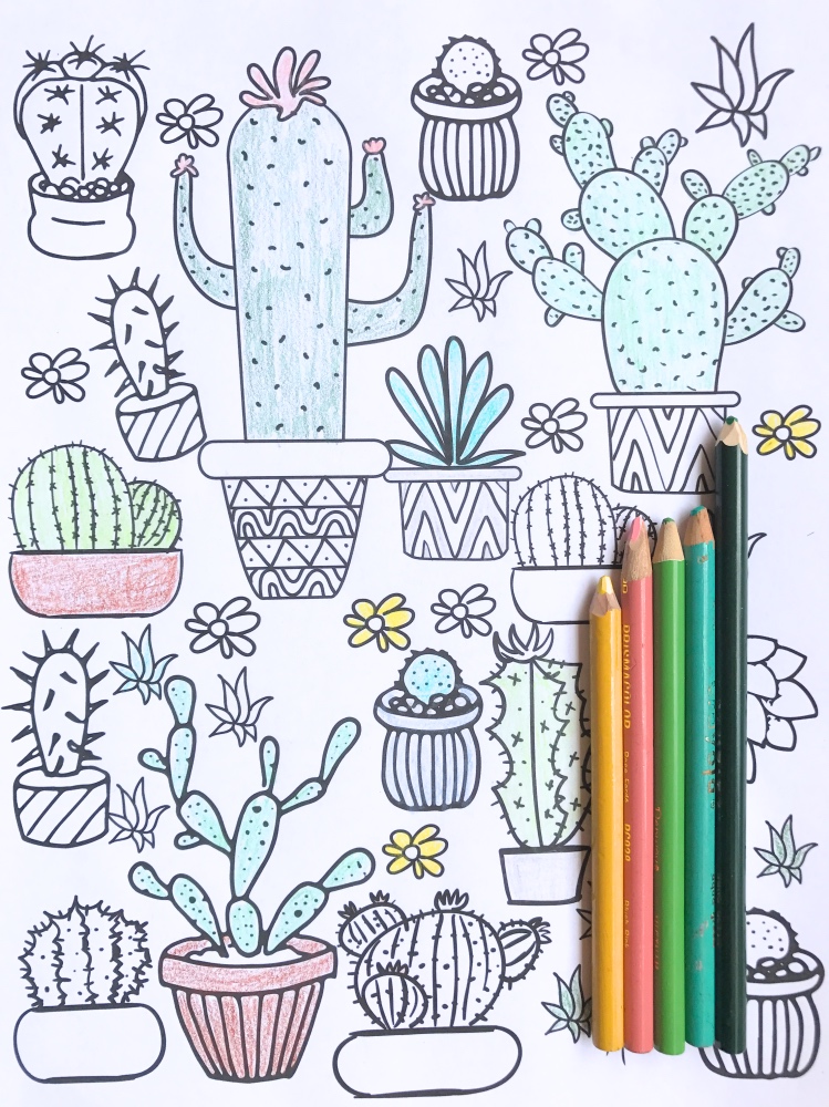 Printable coloring pages for summer: Succulent printable coloring page | Pop Shop America