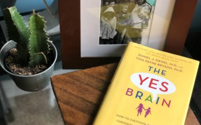 Cool Mom Picks Book Club Selection 7: The Yes Brain, by Daniel J. Siegel and Tina Payne Bryson