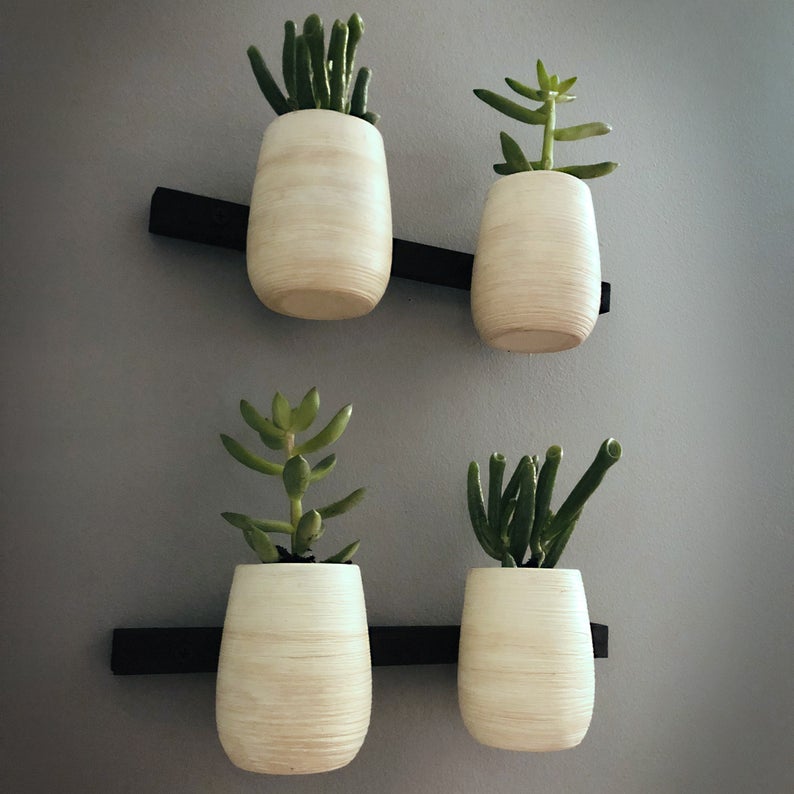 Decluttering help for small spaces: Modern hanging succulent planters by BushyBox
