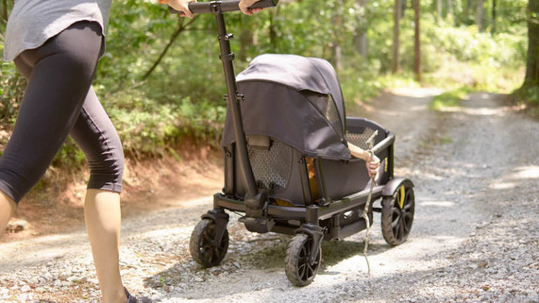 The best wagon for families from babies to big kids. And I've tried a LOT.