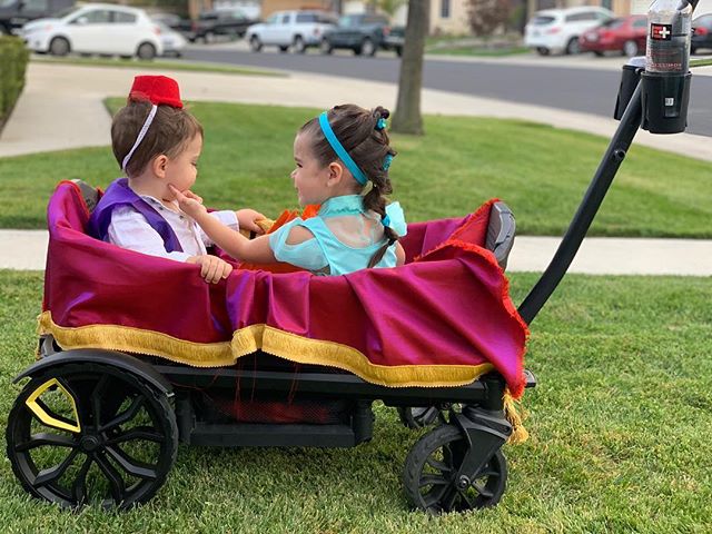 Best wagon for families: The Veer Cruiser dressed up for Halloween | Photo by @debra_ott on Instagram