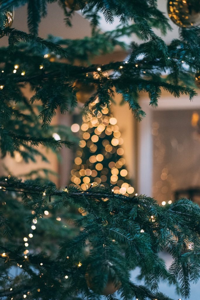 Is cutting down a real Christmas tree bad for the environment? Here are the facts
