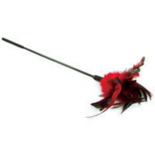 Sexy Valentine's gifts for couples: A starburst feather tickler from Babeland