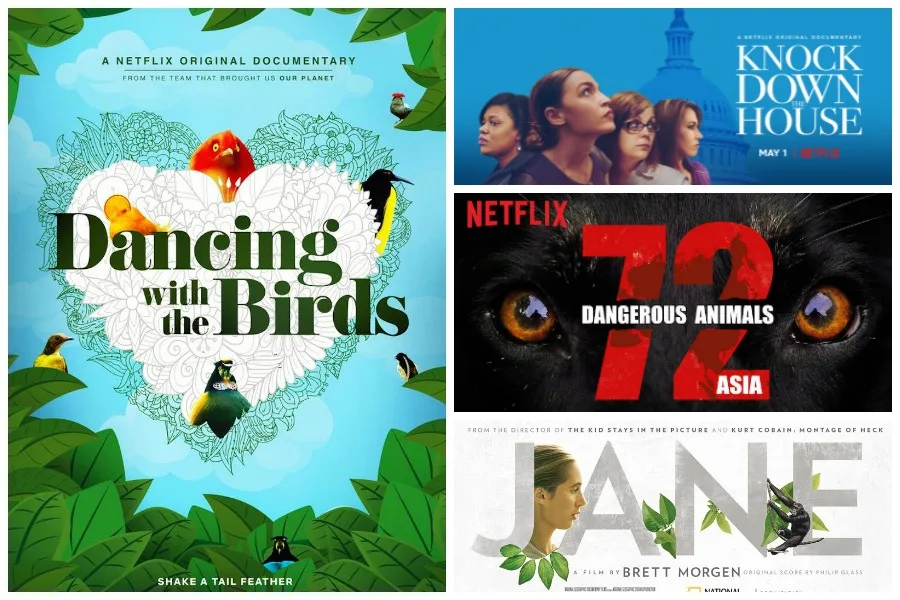 Stream these 15 terrific, kid-friendly educational documentaries that aren’t necessarily made for kids.