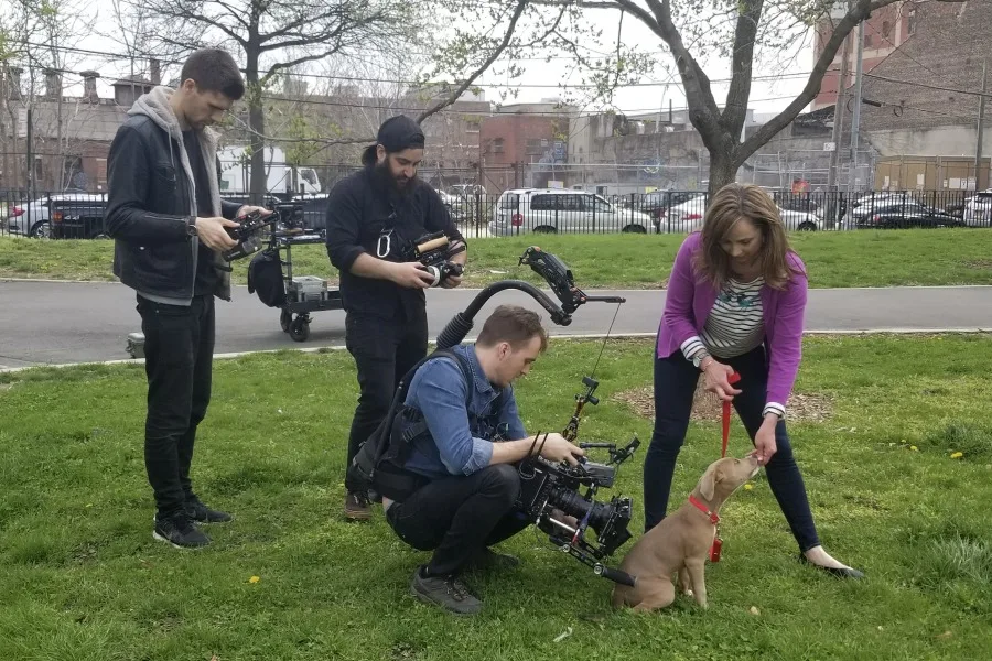Victoria Schade shares dog training tips on Spawned Parenting Podcast with Kristen and Liz