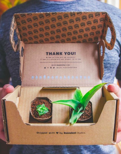 A Succulent-of-the-Month subscription makes a great Teacher Appreciation Week gift