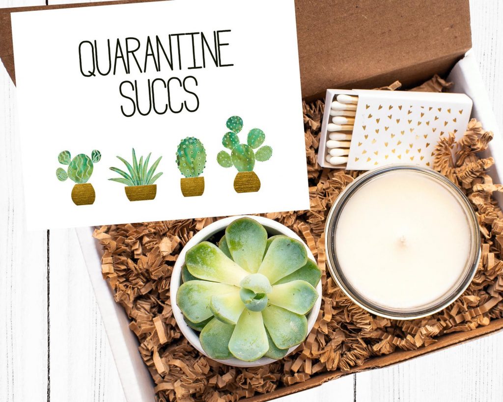 Quarantine Sucs succulent gift box on Etsy: A lovely gift for someone who can't be with you this holiday