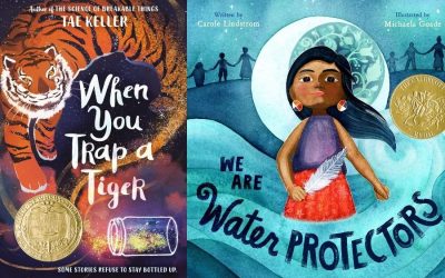 Here are the 2021 Caldecott, Newbery and all the ALA book award winners. Time to update your reading list!