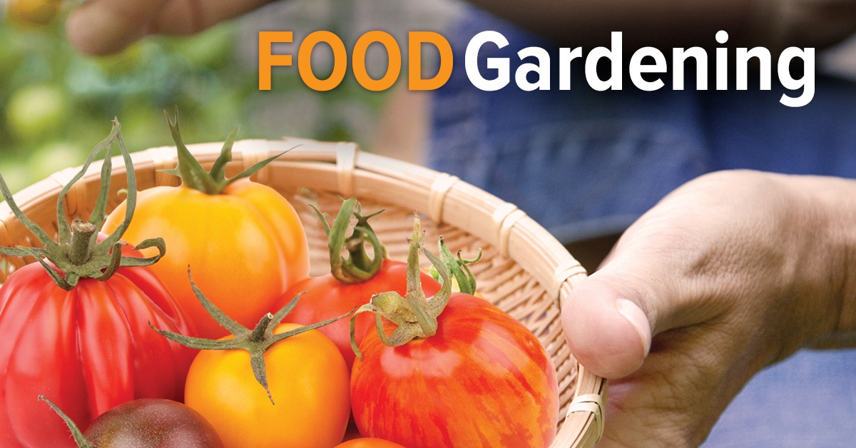 Food Gardening course on The Great Courses Plus: Get a free month trial! (Sponsor)