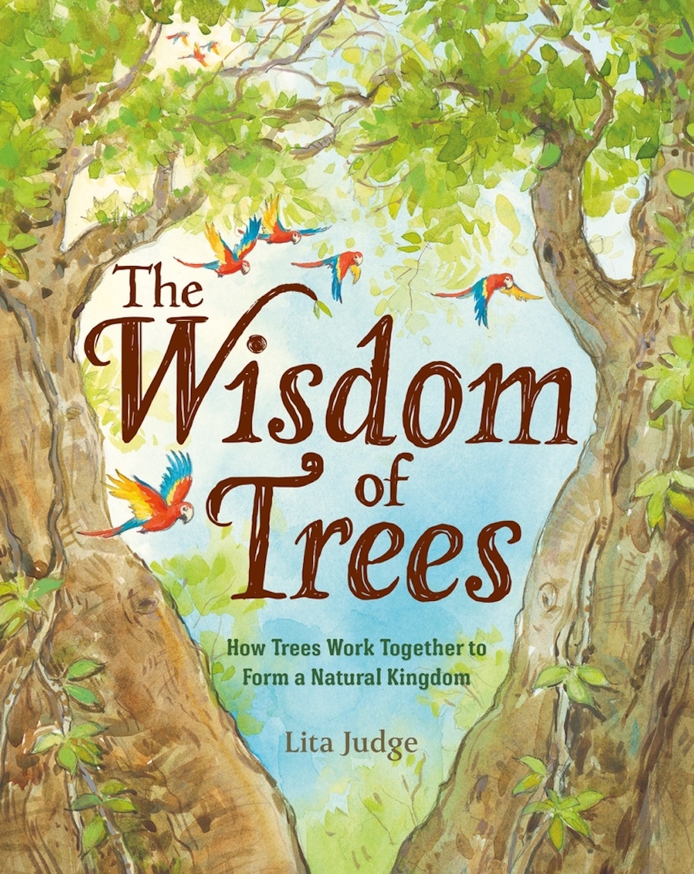 5 new books about spring for kids: The Wisdom of Trees by Lita Judge