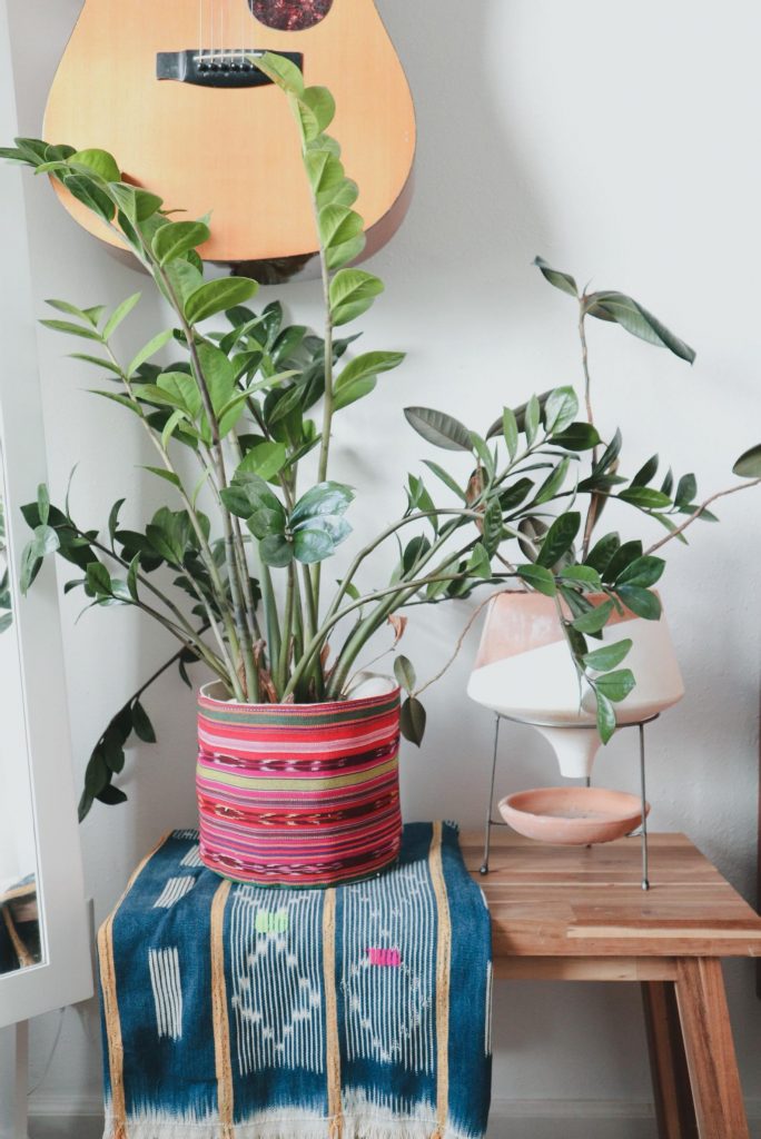 8 stylish indoor planters to zhuzh up your living areas: Ikat planter at From Marfa with Love
