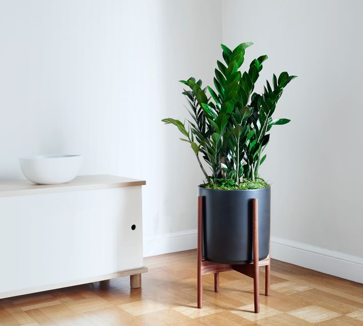 Stylish planters to zhuzh up your living areas: Mid-century modern style planter at Pottery Barn