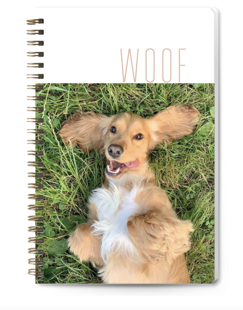 Cool camp care package ideas for tweens and teens: A personalized journal or notebook with a photo of the family pet