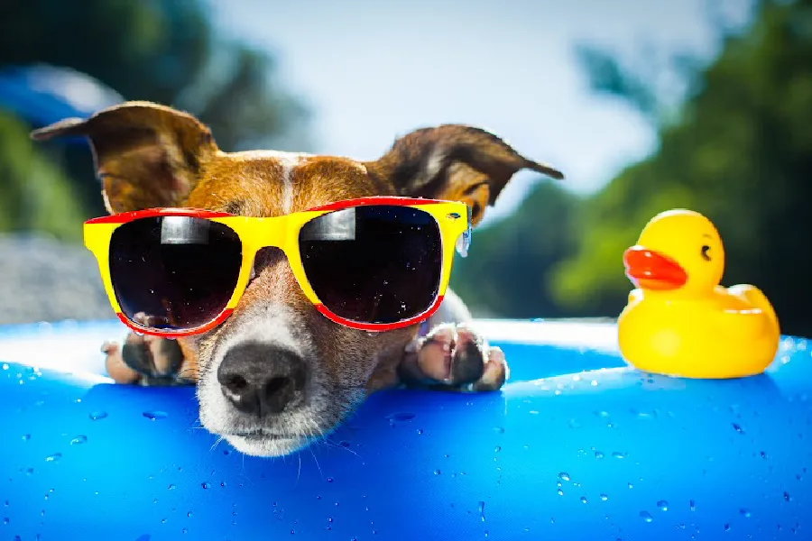 10 favorite summer articles from our site to get you through the season | Cool Mom Picks