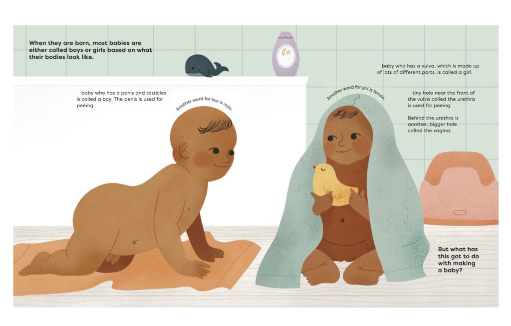 Making a Baby book review: Straightforward information about male and female anatomy that's inclusive in its approach.