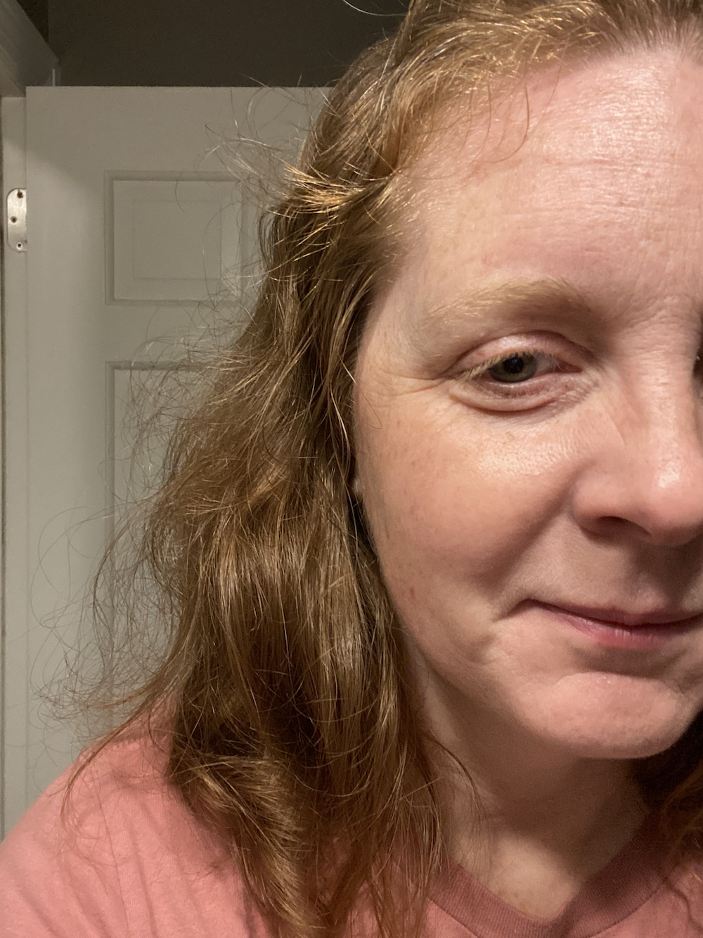 After one wash, the Color WOW Dream Coat anti-frizz treatment left something to be desired.