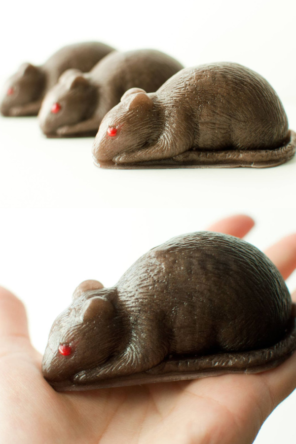 Non-candy Halloween gifts for tweens and teens: Rat soap on Etsy from Audrey E Soaps