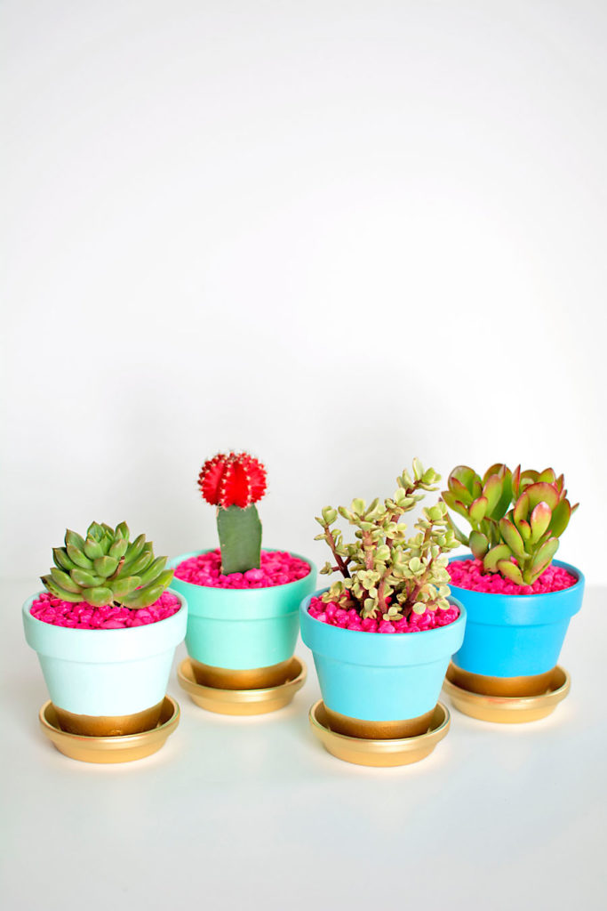 DIY gold-dipped succulent planter tutorial from Homey Oh My: Fabulous DIY gifts for teenage girls