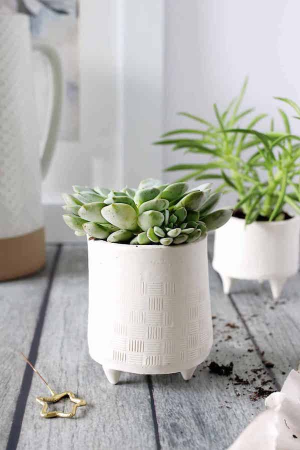 DIY these pretty succulent planters using the tutorial from Hello Glow