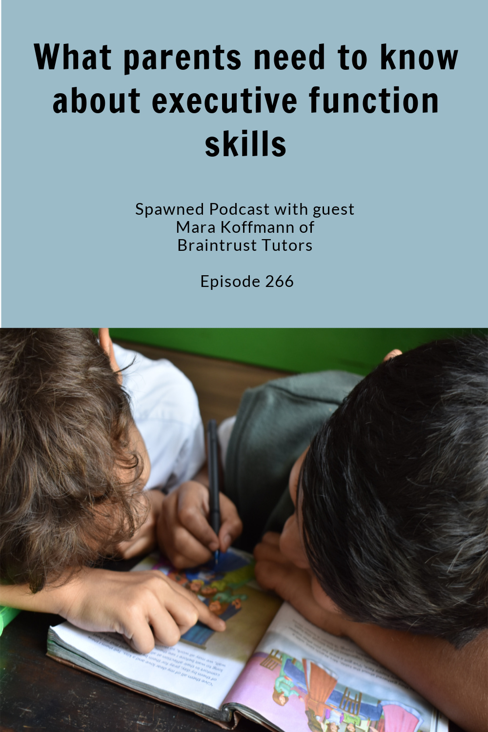 What you need to know about executive function skills| Spawned podcast Episode 266