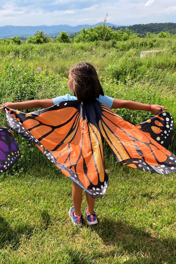 Butterfly wings dressup clothing | The coolest gifts for 6 year olds