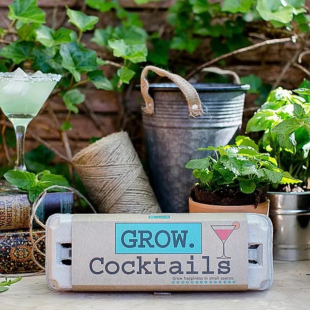 Grow your own cocktail kit: gifts under $15 for adults