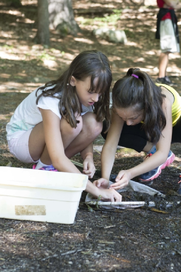 Learning collaboration from summer camp activities | camp tutu (sponsor)
