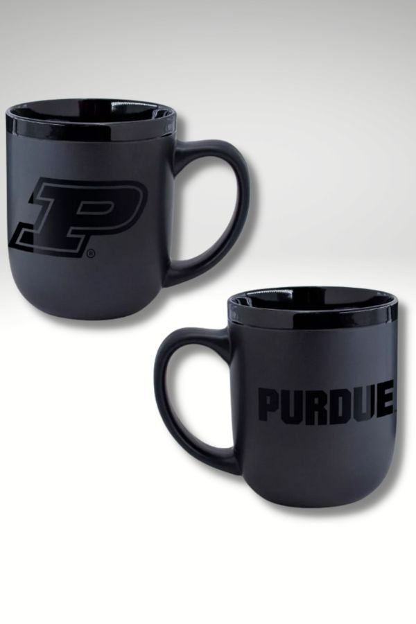 Useful Father's Day gift under $20: NCAA mug of his favorite team.