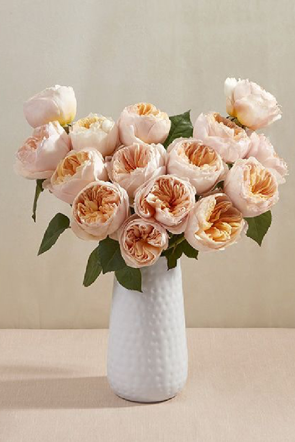 Best gifts for girlfriends:Stunning David Austin roses from Bouqs | Valentines gifts