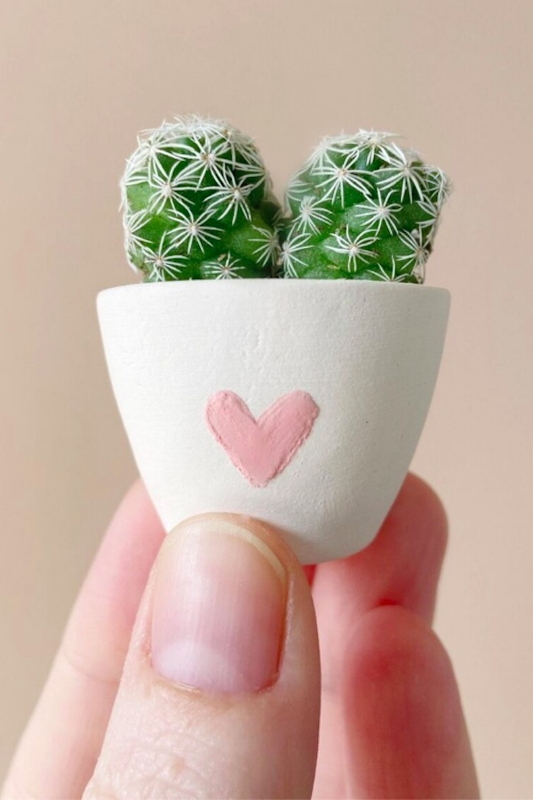 Best Valentine's gifts on Etsy for Teens: Tierra Sol Studio's mini cactus in planter